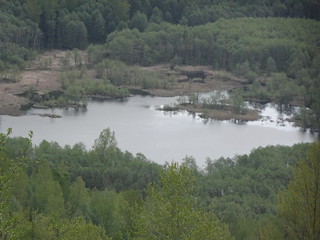 28491648458_cd27cc1488_n.jpg