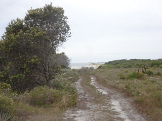 45772957405_d7417d9425_n.jpg