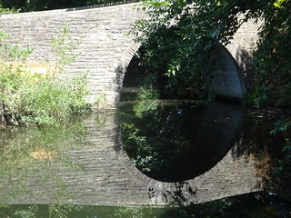 47245956041_1dcf90e0e5_n.jpg