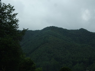 44643282092_1b4f9837f8_n.jpg