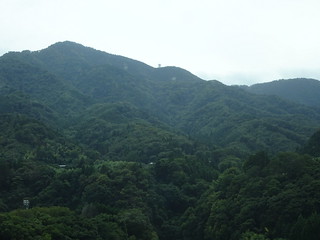 42841186030_6aaf319539_n.jpg