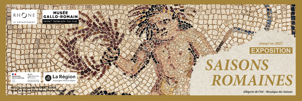 musee-site.rhone.fr