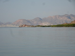 28178906478_d99e89d0cd_n.jpg