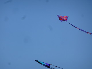 31045114987_d4df9d76f5_n.jpg