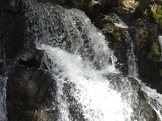 37928113216_c7719f3288_n.jpg