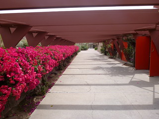 26705407247_12e462da59_n.jpg