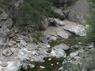 42008088782_24bc6a5e8f_n.jpg