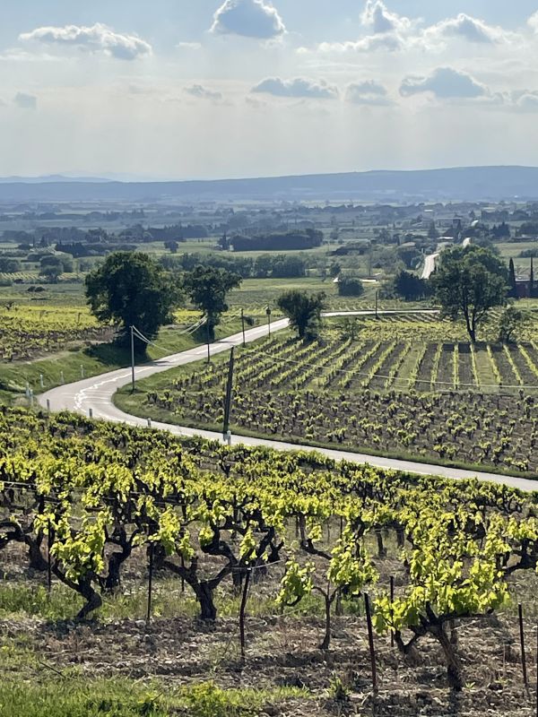 theotherbordeaux.com