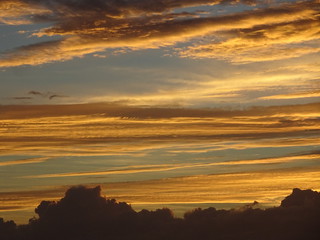 31259174028_8946e3ae99_n.jpg