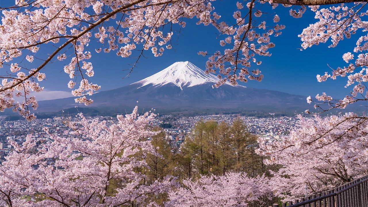 www.nippon.com