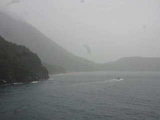 47003186822_a472b3cdc3_n.jpg