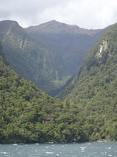46353861414_0e21f70ea8_n.jpg