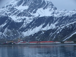 33223327934_ccc911dc75_n.jpg
