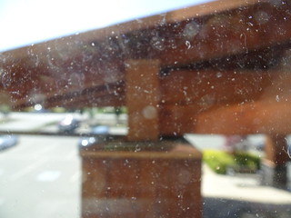 28661805548_0e366181a1_n.jpg