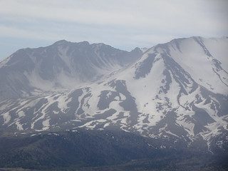 28491648618_809b430828_n.jpg