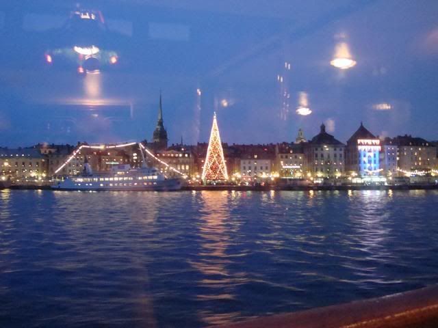 DSC01141.jpg