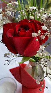 40233795782_bafe38e900_n.jpg