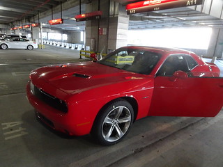 24460090167_2f98f9a34c_n.jpg