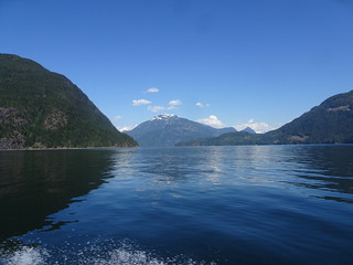 41632978725_e72207b1c0_n.jpg