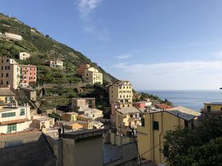 IMG_7146.jpg