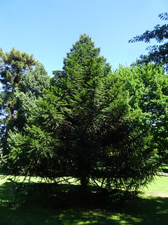 31014048137_5272c7fbe2_n.jpg