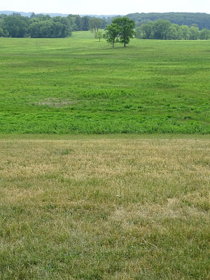 DSC00613.