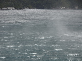 47077450101_ab96bc9439_n.jpg%22