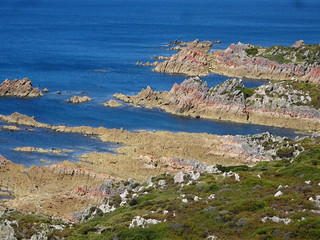 40167383182_cd620b305b_n.jpg