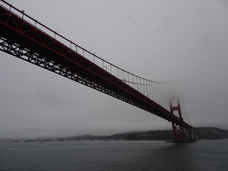 41608857784_3ca609305d_n.jpg