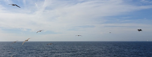 27765900258_5a94b214d1.jpg