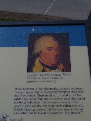 DSC00559.JPG