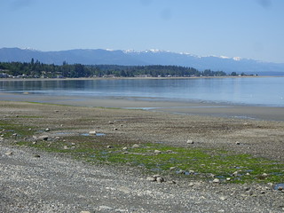 42483294732_1aac5d903e_n.jpg