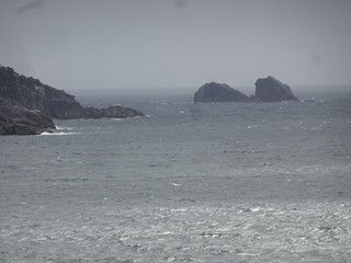 46353752804_1872a63133_n.jpg