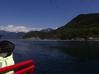 42483282012_8be24e9c2e_n.jpg