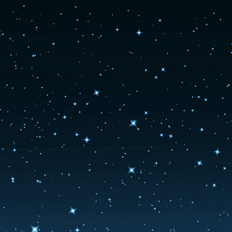 GIF by KLM
