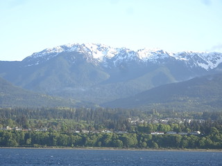 42410075131_d1831a334e_n.jpg