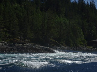 41632965665_0830949634_n.jpg