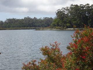 30476880758_93bb0a0d86_n.jpg