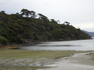 32156768697_cec8c04a9c_n.jpg