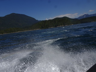 27664618777_49f318484d_n.jpg