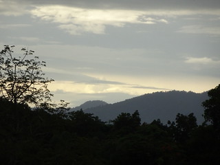 35757135116_8b56b953e6_n.jpg