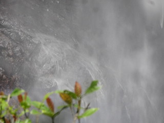 42947899785_c3d7780f5c_n.jpg