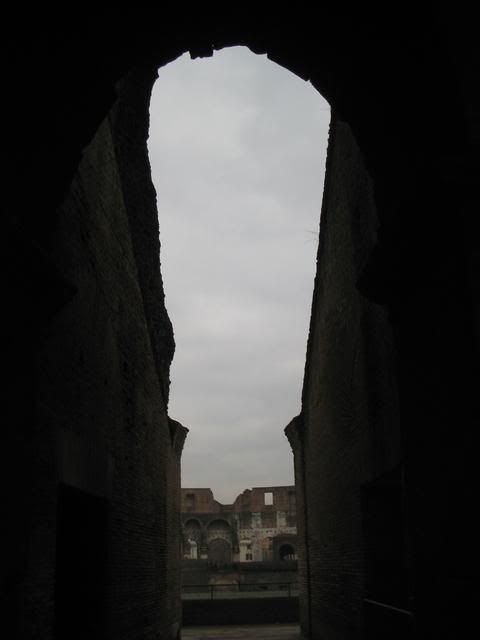 IMG_3252.jpg