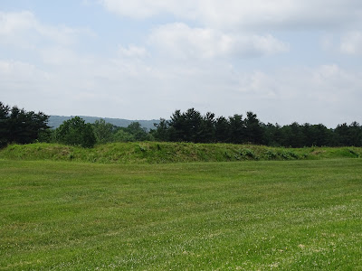 DSC00535.JPG
