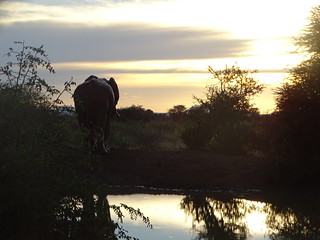 33811034900_dc400e90ff_n.jpg