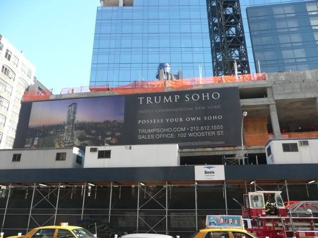 P1000175.jpg