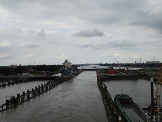 29504923025_12111531ea_n.jpg