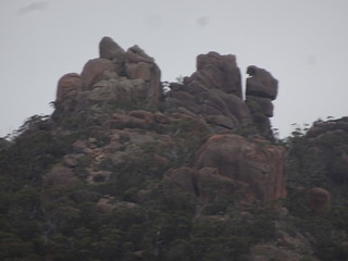 38400571666_93290b1966_n.jpg