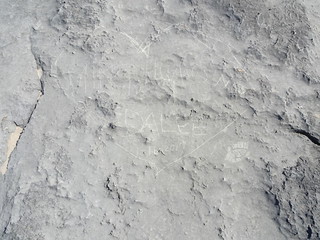 37108590606_61ff2493eb_n.jpg