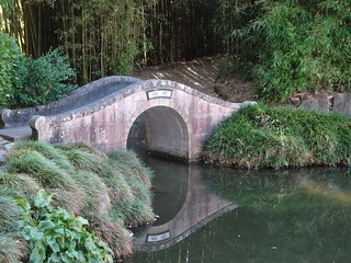 46331428325_133bcf2218_n.jpg
